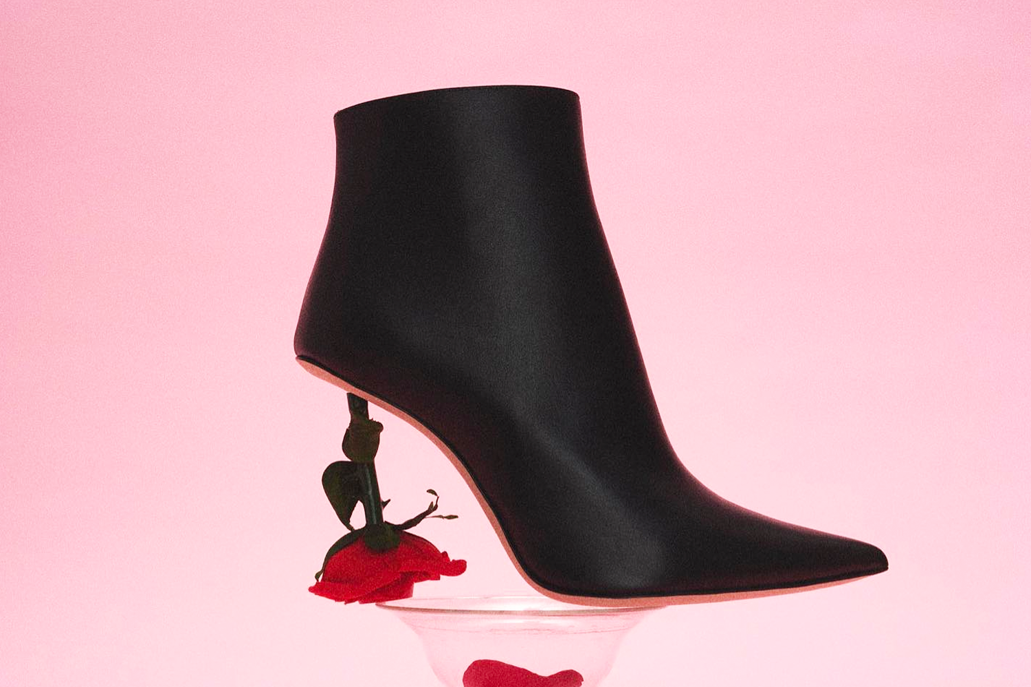 Tessabit hero banner